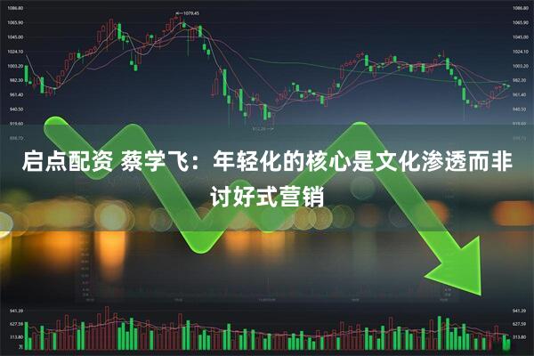 启点配资 蔡学飞：年轻化的核心是文化渗透而非讨好式营销