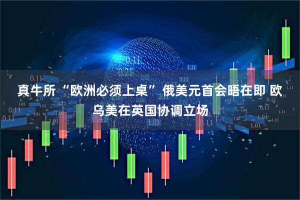 真牛所 “欧洲必须上桌” 俄美元首会晤在即 欧乌美在英国协调立场
