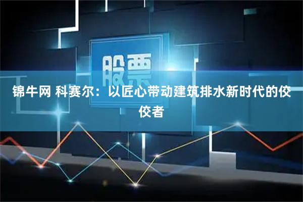 锦牛网 科赛尔：以匠心带动建筑排水新时代的佼佼者