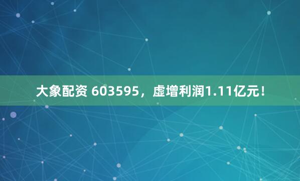 大象配资 603595，虚增利润1.11亿元！